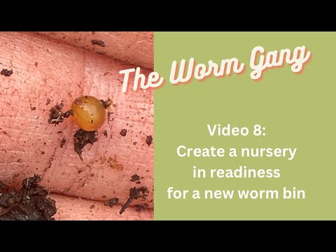 Video 8: Create Your Own Worm Composting Nursery and Why I Started One