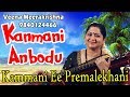 Kanmani Anbodu | Kammani Ee Premalekhani - film Instrumental by Veena Meerakrishna