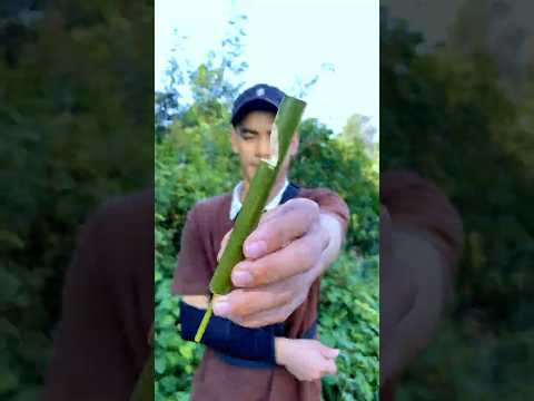 Survival Skills: Make a Bamboo Horn to Scare Off Wild Animals #ohd #survival #skills #bushcraft