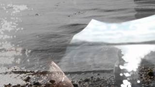 Tiny Ruins -  She'll Be Coming Round