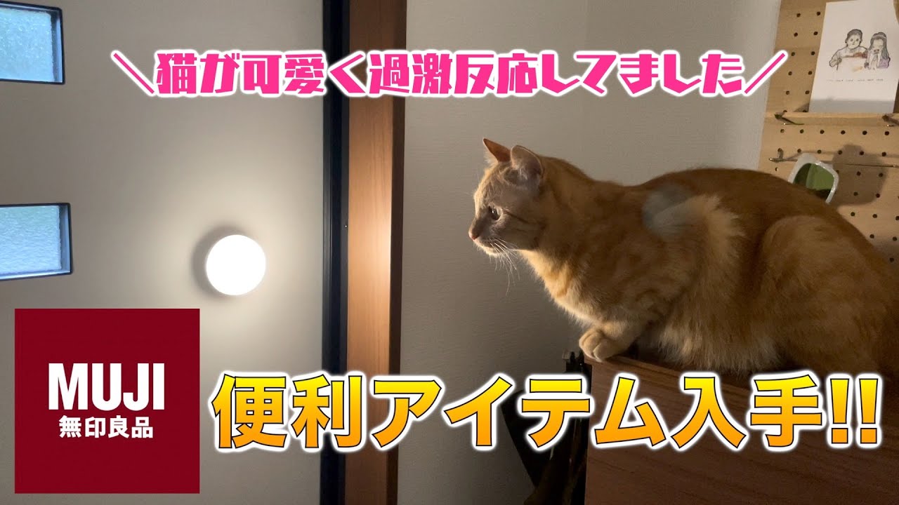 【無印良品購入】センサーライトって初めて見たよね！