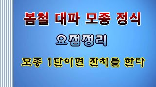 [텃밭농부 162]  봄철 대파모종 정식하기 요점정리. #대파재배
