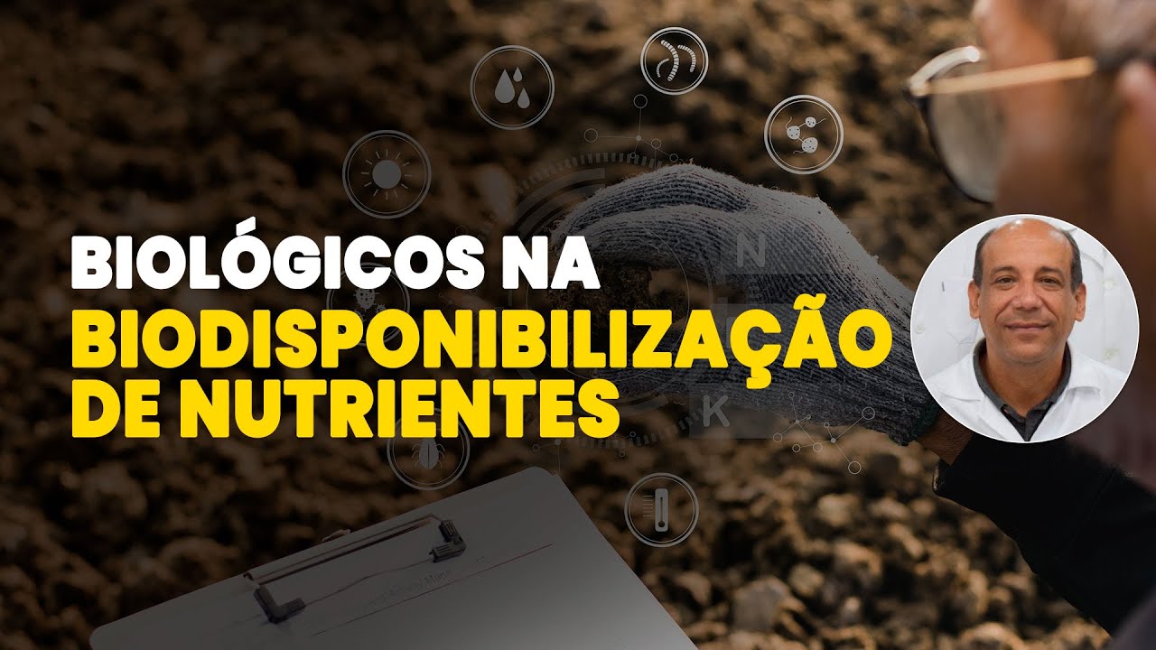COMO USAR BIOLÓGICOS PARA BIODISPONIBILIZAR NUTRIENTES NO SOLO