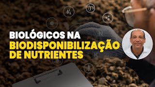 COMO USAR BIOLÓGICOS PARA BIODISPONIBILIZAR NUTRIENTES NO SOLO