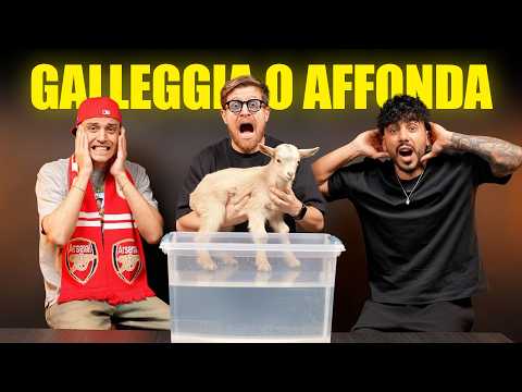 RIESCI A INDOVINARE SE QUESTI OGGETTI GALLEGGIANO O AFFONDANO? - AWED È VERAMENTE UNA PERSONA SCARSA