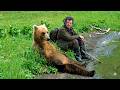 When Animals Forget They Are Being Watched 😂 Funniest Animals Video DEFAULT Thumbnail