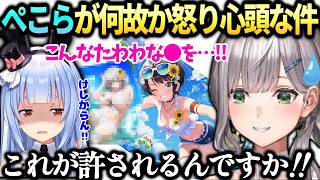 ノエルホロドリの件でぺこらが怒ってた件とスバルを完凸しておかしくなる団長【白銀ノエル/兎田ぺこら/ホロライブ切り抜き】