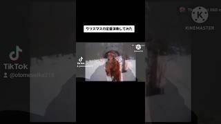 メリークリスマスイブ #クリスマスソング #マライアキャリー #演奏してみた