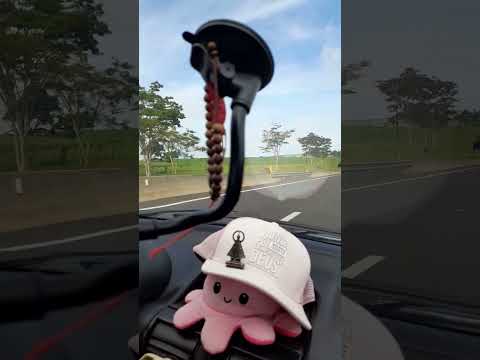 Rodovia Raposo Tavares/Presidente Venceslau-SP