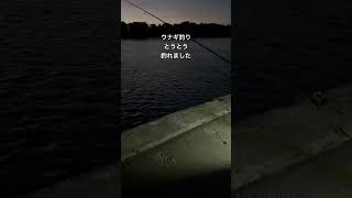 #釣り #フィッシング #海 #ウナギ釣り #釣りガール