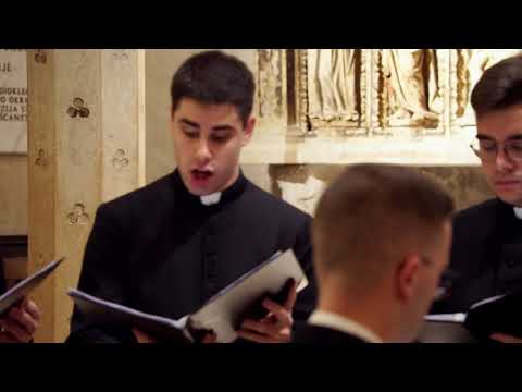 Komorni zbor bogoslova CBS -  Verbum bonum (Koncert "Ususret Božiću" 2019. LIVE)