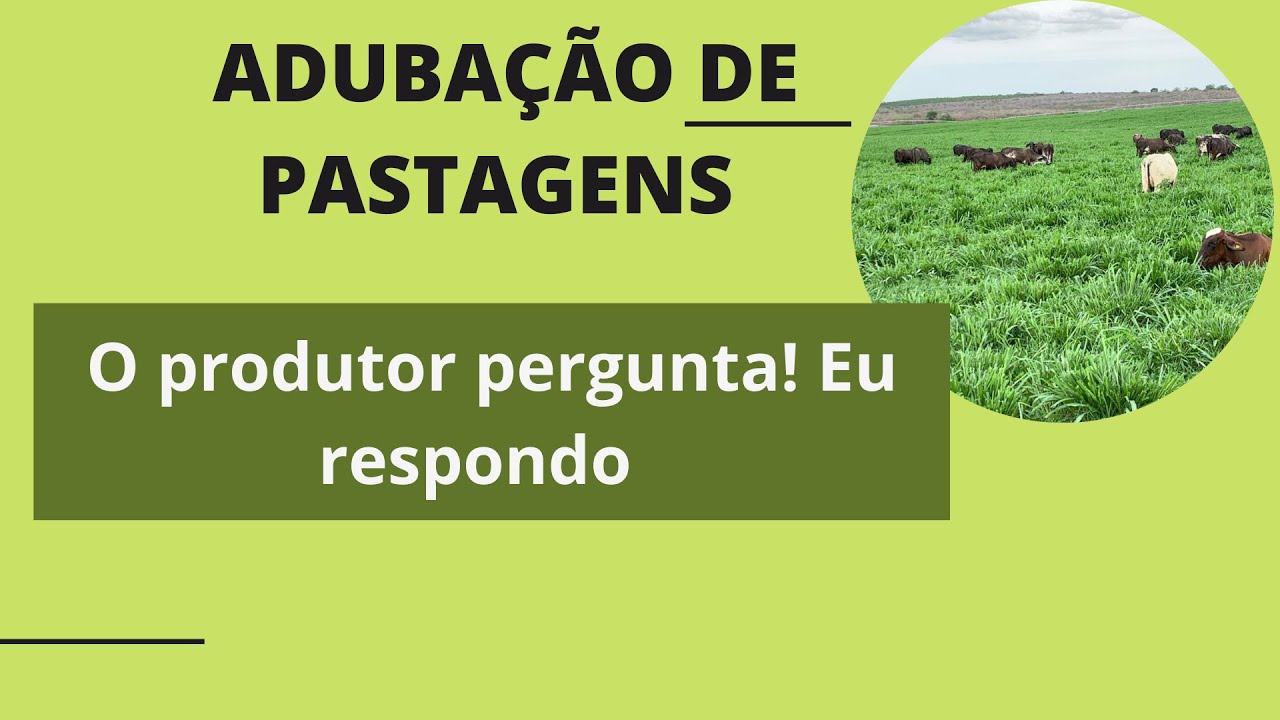 ADUBAÇÃO DE PASTAGENS: o produtor pergunta, eu respondo!
