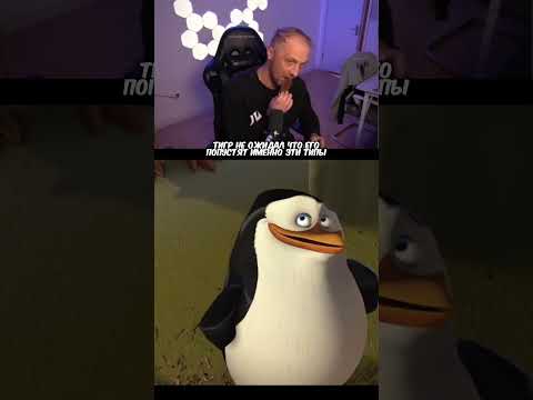 🤣Наконец-то Тигра попустили пингвины | Зубарев #shorts