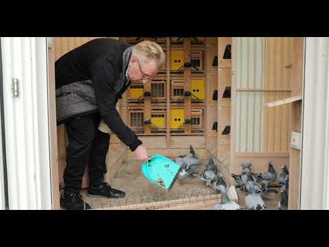 Quick Tips 11 - Gerard Koopman on feeding acorns.