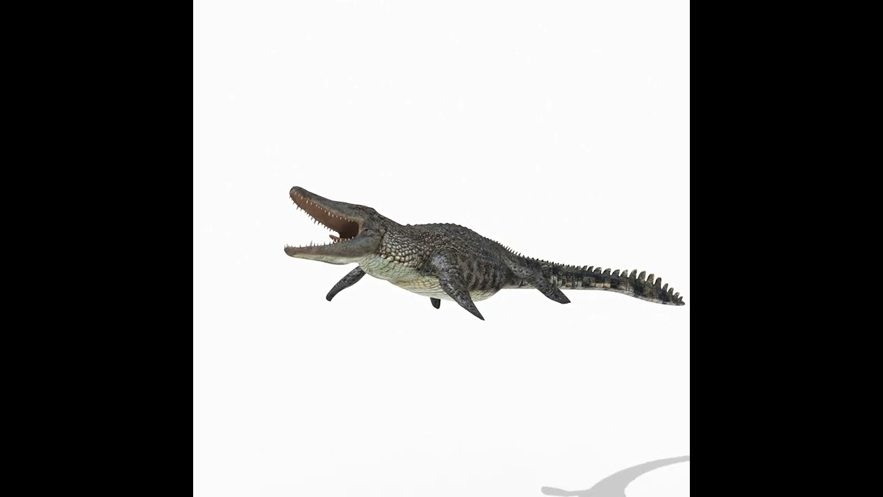 Mosassauro Rex - animado em 8K Modelo 3D