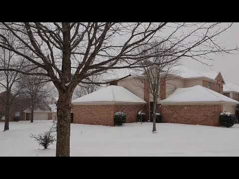 Snowing in Memphis, TN  Wednesday, February 17, 2021