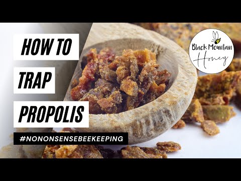 , title : 'How to Trap Propolis - Trapping Propolis - How to Use a Propolis Trap'