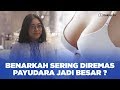 Dokter 24 Sering DIREMAS PAYUDARA Makin Besar BENERAN