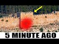 The Gate That Was SEALED Until Jesus S RETURN Has Just Opened