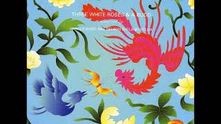 Harold Budd, Bill Nelson & Fila Brazillia - No Shade, No Shadow