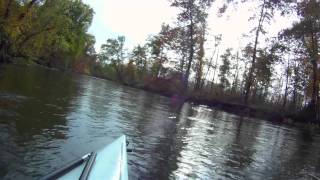 preview picture of video 'Shenango River Autumn Kayak.mov'