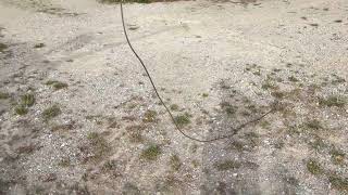 Star Vajerstyrd logging winch | Image 4 - Agroline