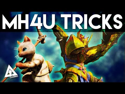Monster Hunter 4 Ultimate Tips - 5 Things You Didn't Know