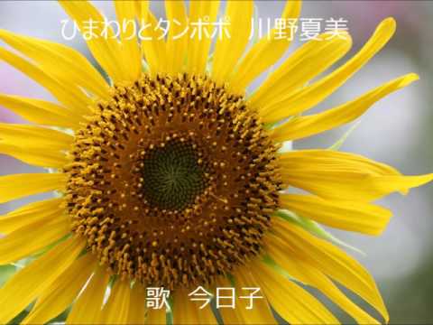download lagu mp3 mp4 川野 夏美 子供, download lagu 川野 夏美 子供 gratis, unduh video klip Download 川野 夏美 子供 Mp3 dan Mp4 Youtube Gratis