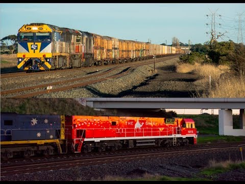 SCT Fleet TRINITY,  GHAN Mk3 NR leads 3AM5 | Western Vic SG Line Morning Arrivals 10/7/19 (4K)