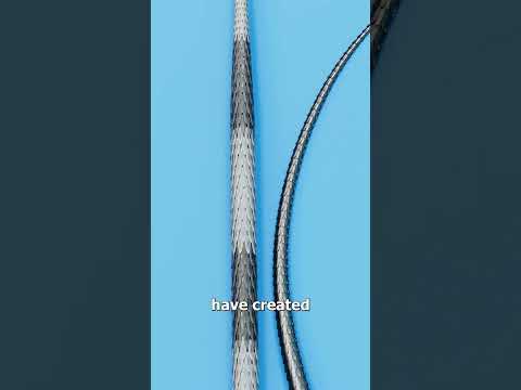 How Porcupine Needles Work 😮