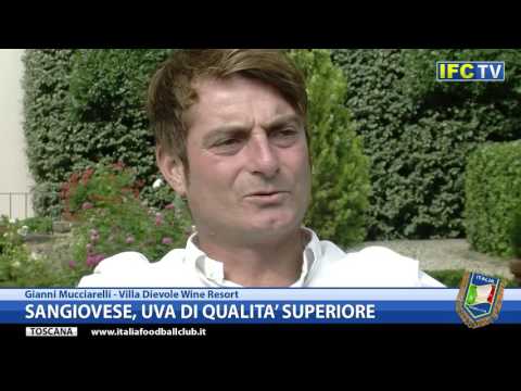 Fra le province di Firenze e Siena il regno del Chianti Classico
