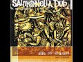 salmonella dub - dub for straights