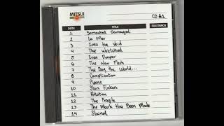 Nine Inch Nails - The New Flesh (Demo)