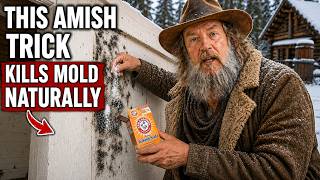 How Amish Reduce HUMIDITY and Remove MOLD Forever