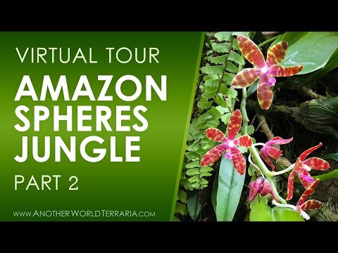 Amazon Spheres Tour (Stunning Sanctuary in Seattle!) Part 2