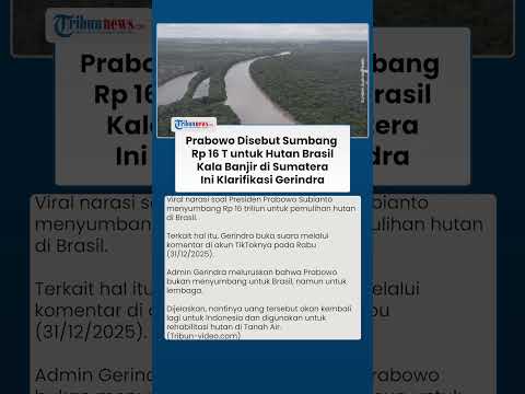 Klarifikasi Gerindra seusai Prabowo Disebut Sumbang Rp 16 Triliun untuk Pemulihan Hutan di Brasil