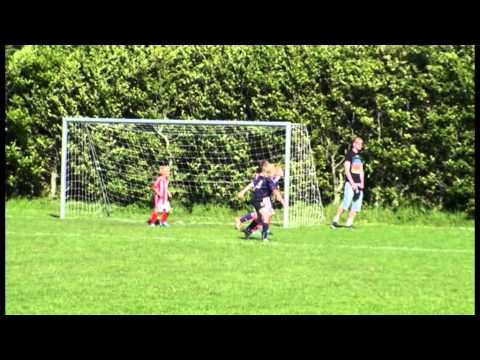 AaB, DK - Haaglandia F1