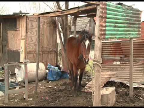 Villa Las Tunas al lado de Nordelta, Tigre, Buenos Aires, Argentina 19