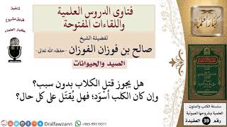 صورة هل يجوز قتل الكلاب بدون سبب؟ وما حكم قتل الكلب الأسود؟ للشيخ الفوزان