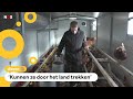 Boer Matthijs heeft een rijdende kippenstal