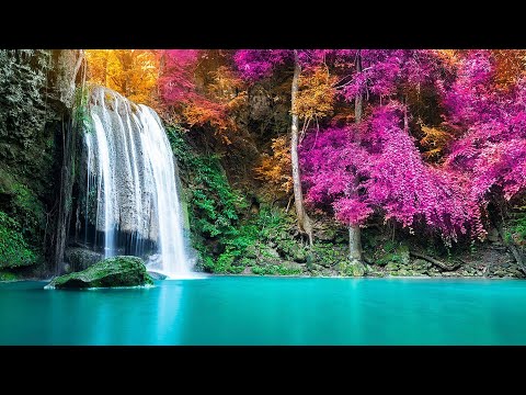 MEDITATION MUSIC  MIND RELAXATION STRESS FREE, SPA,STUDY