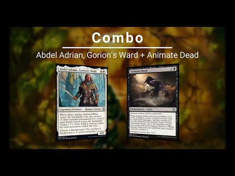 EDH COMBO: Abdel Adrian, Gorion's Ward | Animate Dead