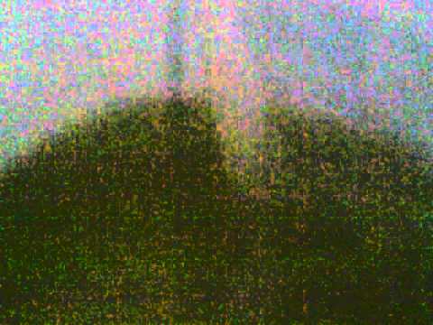 A doua pate din...apa din Ortisoara