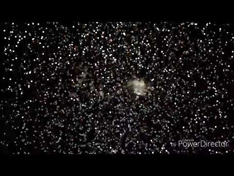 Sigo en esto  E..L.V.I.N