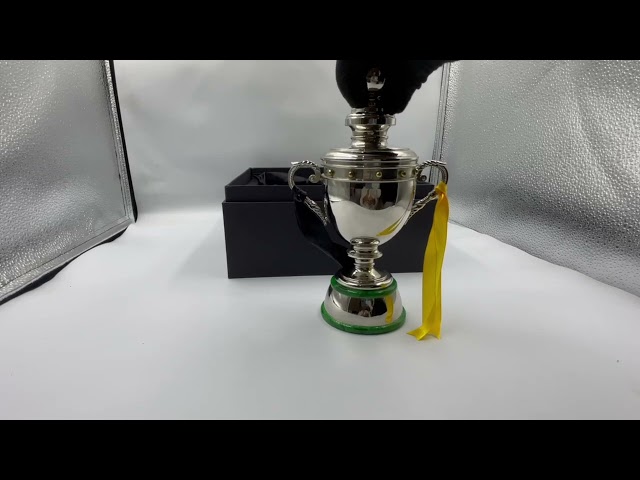 كأس الدوري معدني لامع مميز