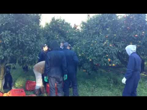 Datini Prato. Alternanza scuola lavoro.