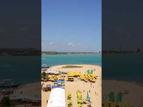 Praia do Gunga - Roteiro | Alagoas #alagoas #praiadogunga #shorts