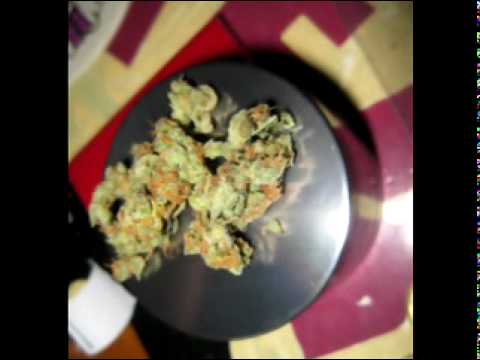 Im An Amsterdam Addict 2010