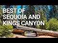 Top Things You NEED To Do In Sequoia Kings Canyon National Park