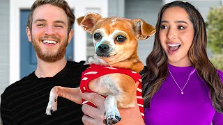 Surprising Our Friend With A PUPPY!
